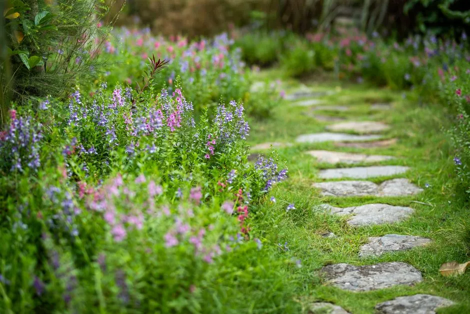 Allée minérale traversant un jardin arboré
